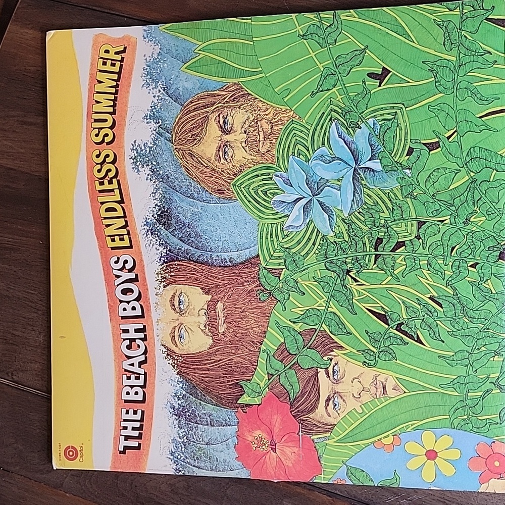 Beach Boys ENDLESS SUMMER 2LP Vinyl Records